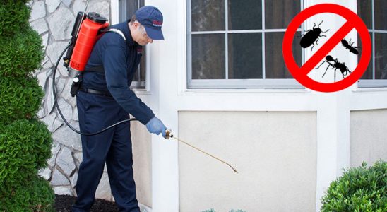 Sapanca Akrep İlaçlama böcek ilaçlama ve haşere kontrolü — ilaclama-tr.com